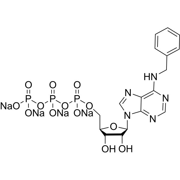 N6-Benzyl-ATP sodium