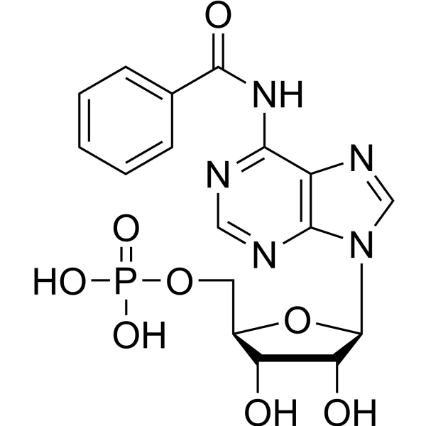6-Bnz-5'-AMP