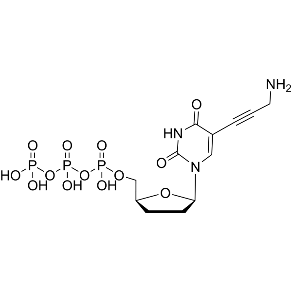 5-Propargylamino-ddUTP
