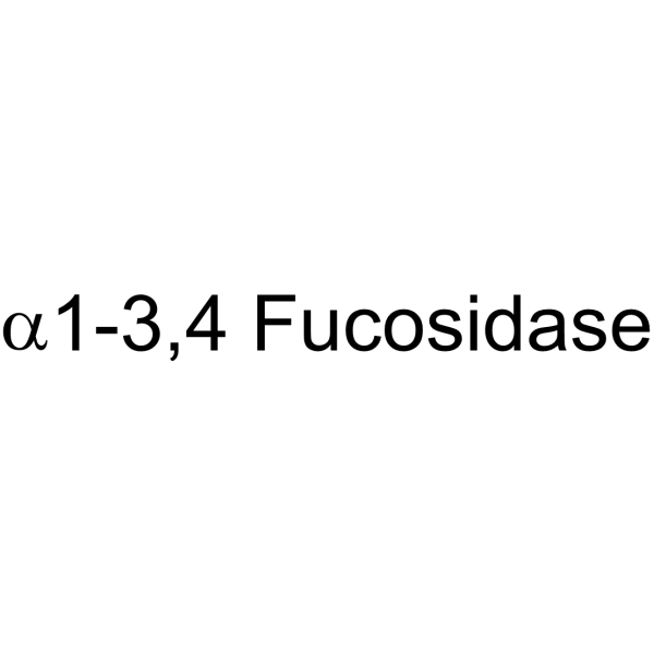 α1-3,4 Fucosidase, Bifidobacterium bifidum