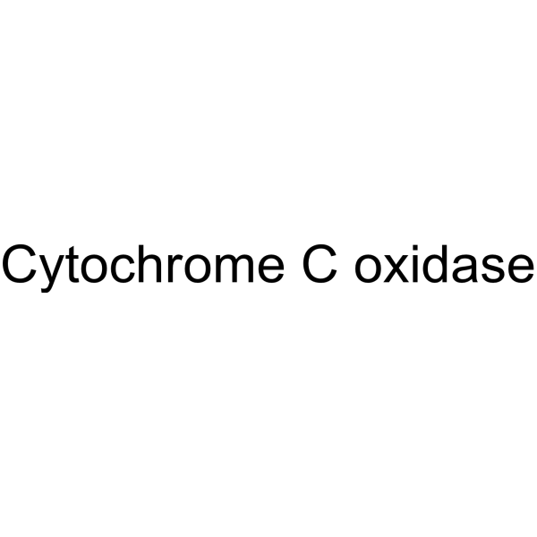 Cytochrome C oxidase
