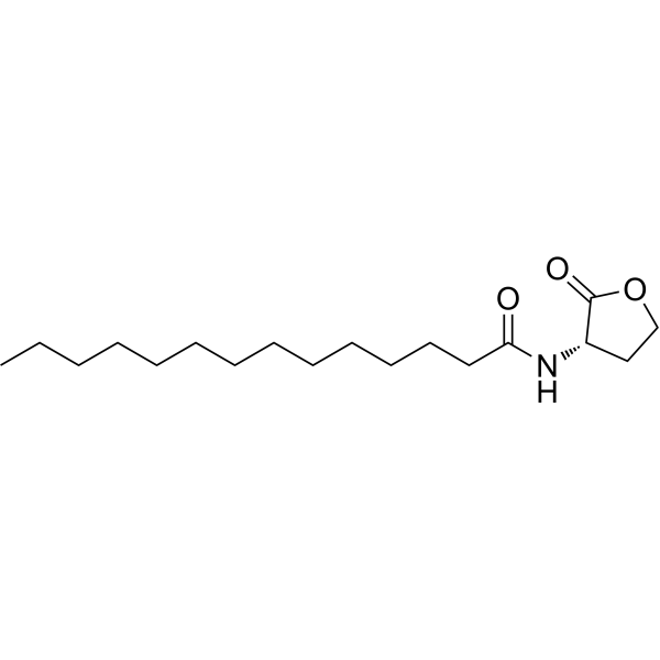 N-Tetradecanoyl-L-homoserine lactone (Standard)