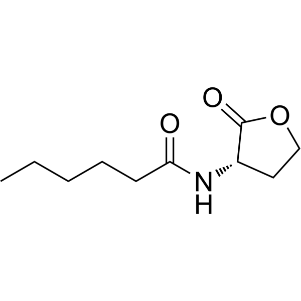 N-Hexanoyl-L-homoserine lactone (Standard)