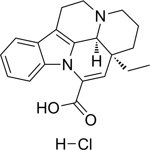 Apovincaminic acid hydrochloride salt (Standard)