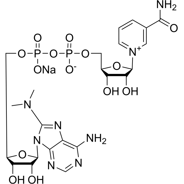 8-DMA-NAD+ sodium