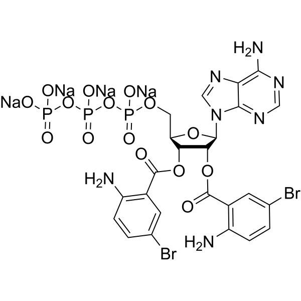 Bis-Br-ANT-ATP tetrasodium
