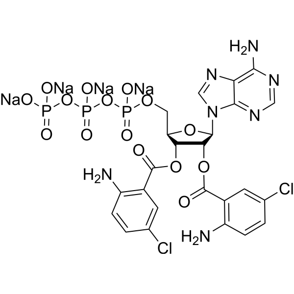 Bis-Cl-ANT-ATP tetrasodium