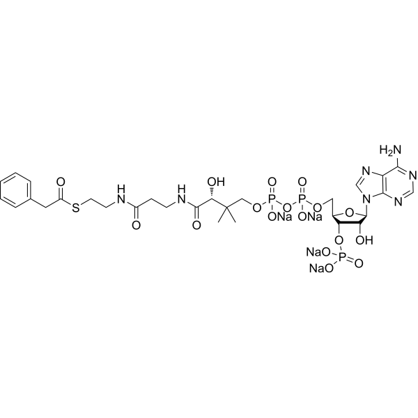 Phenylacetyl CoA tetrasodium