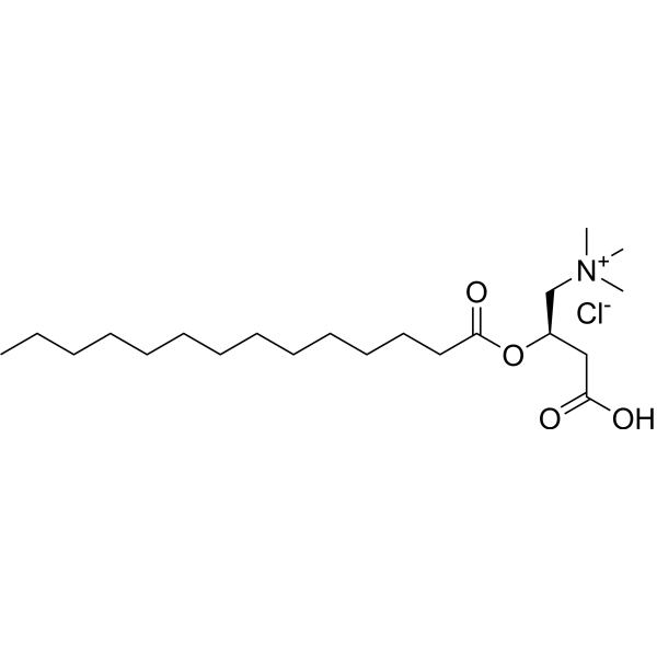 Myristoyl-L-carnitine chloride (Standard)