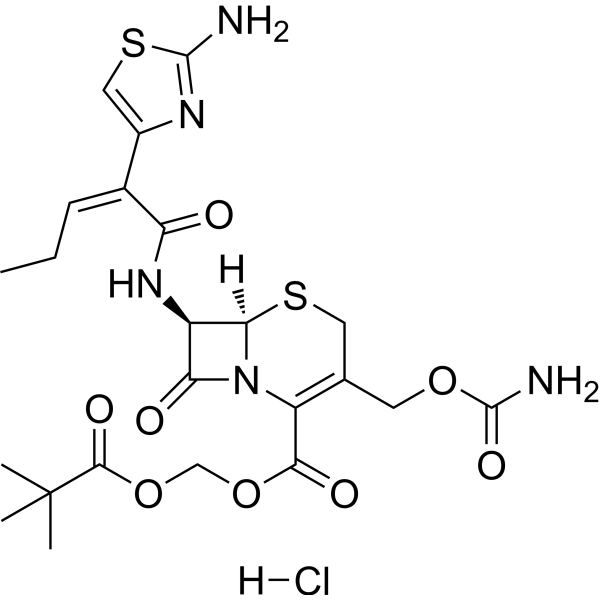 Cefcapene pivoxil hydrochloride (Standard)