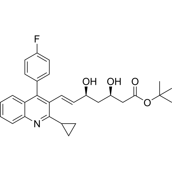 tert-Buthyl Pitavastatin (Standard)