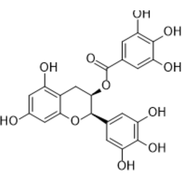 (-)-Epigallocatechin Gallate