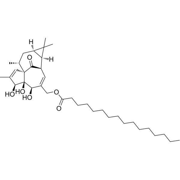Ingenol 20-palmitate