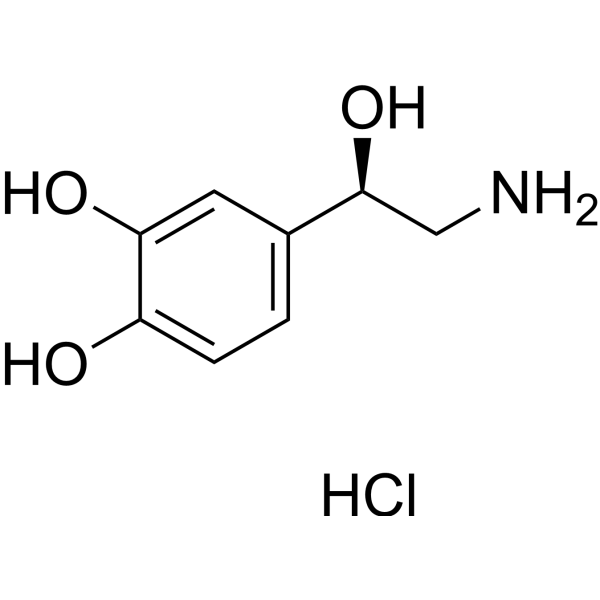 Norepinephrine hydrochloride (Standard)