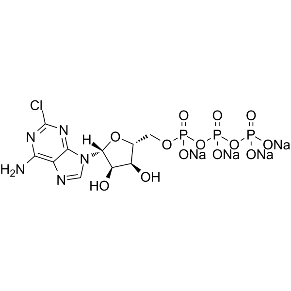 2-Chloro-ATP sodium