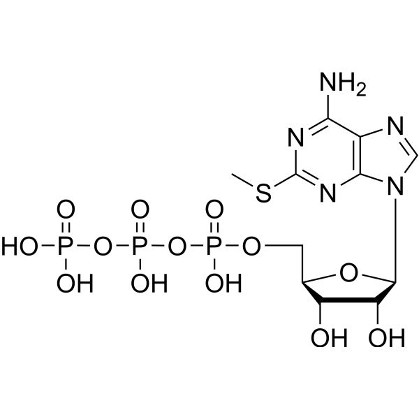 2-MeS-ATP