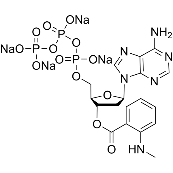 3′-MANT-2′d-ATP tetrasodium