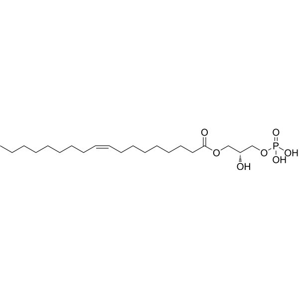 1-Oleoyl lysophosphatidic acid