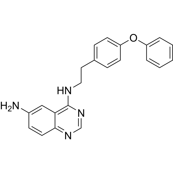 QNZ (Standard)