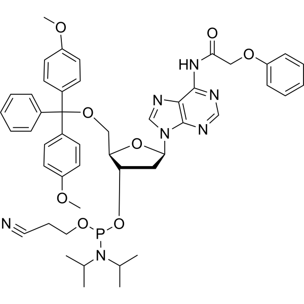 DMT-dA(PAc) Phosphoramidite