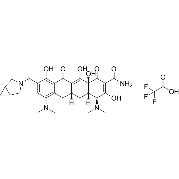 Zifanocycline TFA (Standard)