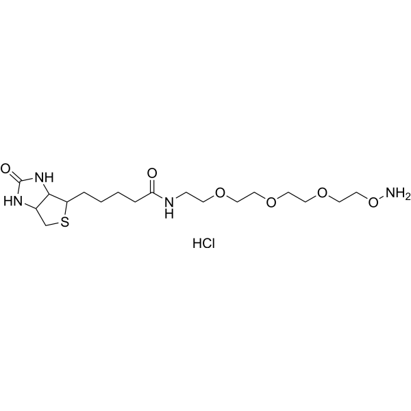 (Rac)-Biotin-PEG3-oxyamine hydrochloride