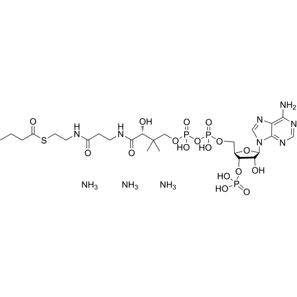 Butyryl-Coenzyme A triammonium