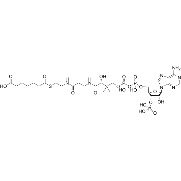 Pimeloyl-CoA