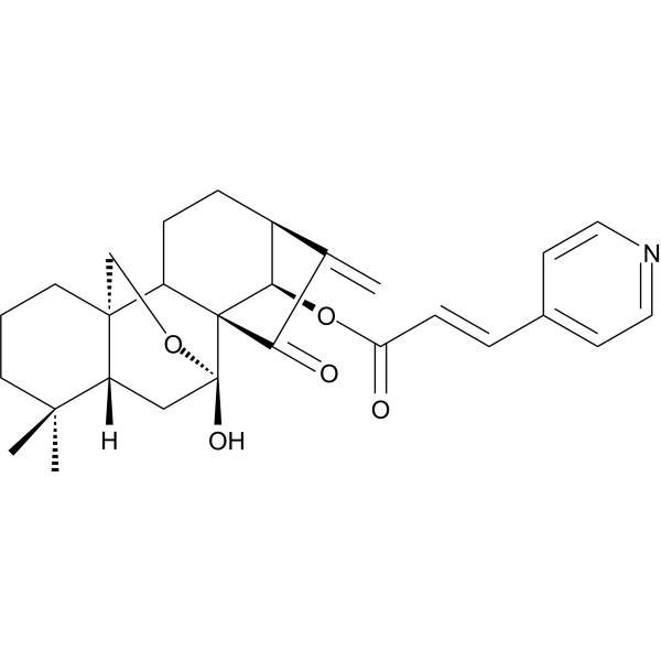 Anticancer agent 26