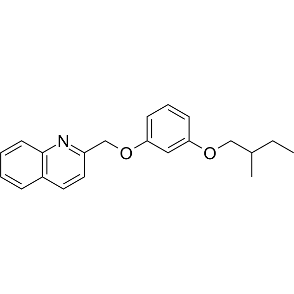 GPBAR1-IN-3