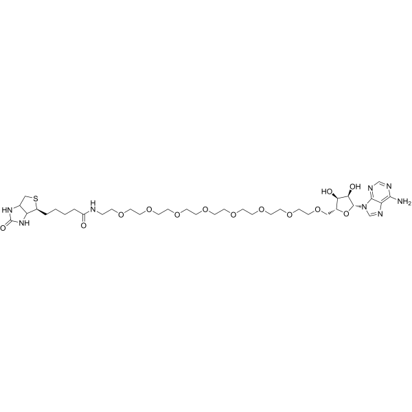 Biotin-PEG8-Vidarabine