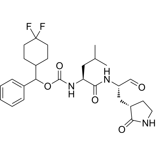 SARS-CoV-2-IN-10