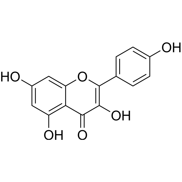 Kaempferol (Standard)