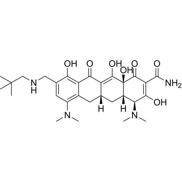 Omadacycline (Standard)