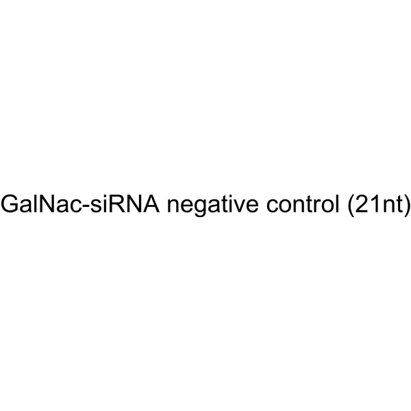 GalNac-siRNA negative control (21nt)