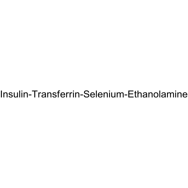 Insulin-Transferrin-Selenium-Ethanolamine