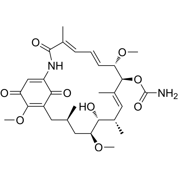 Geldanamycin (Standard)