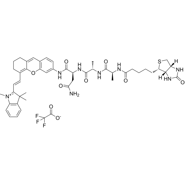 HCy-AAN-Bio