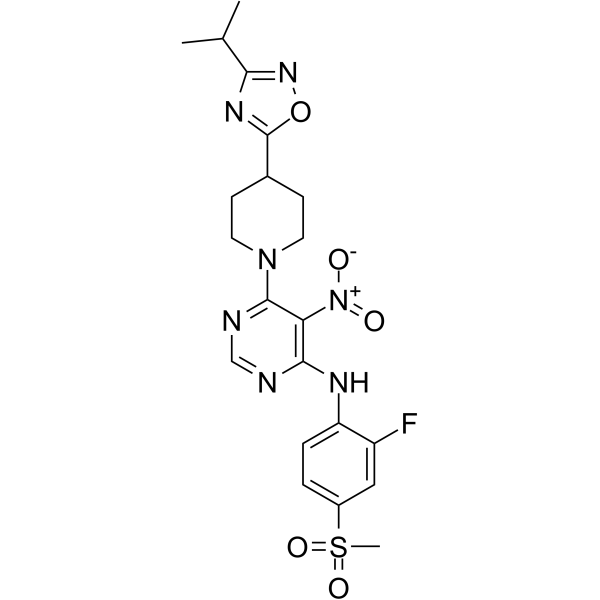 AR 231453