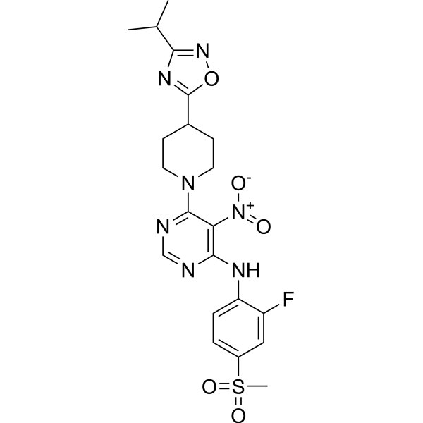 AR 231453 (Standard)