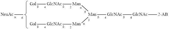 A2G2S1 glycan (G2S1), 2-AB labelled