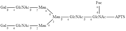 FA2G2 glycan (G2F), APTS labelled