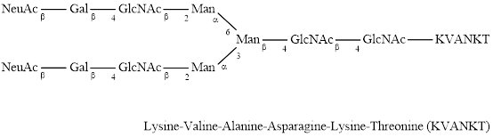 A2G2S2-KVANKT glycopeptide