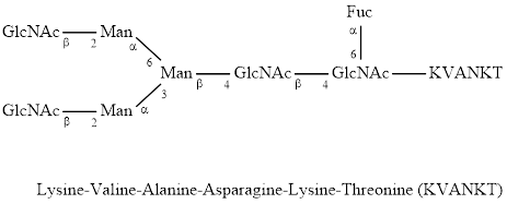 GPEP FA2-KVANKT glycopeptide