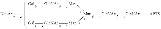 A2G2S1 glycan (G2S1), APTS labelled