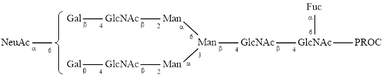 FA2G2S1 glycan (G2FS1), procainamide labelled