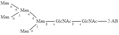 M5 glycan (Man5), 2-AB labelled