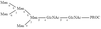 M5 glycan (Man5), procainamide labelled