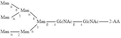 M6 glycan (Man6), 2-AA labelled