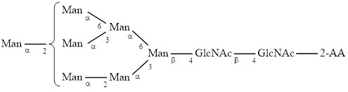 M7 glycan (Man7), 2-AA labelled